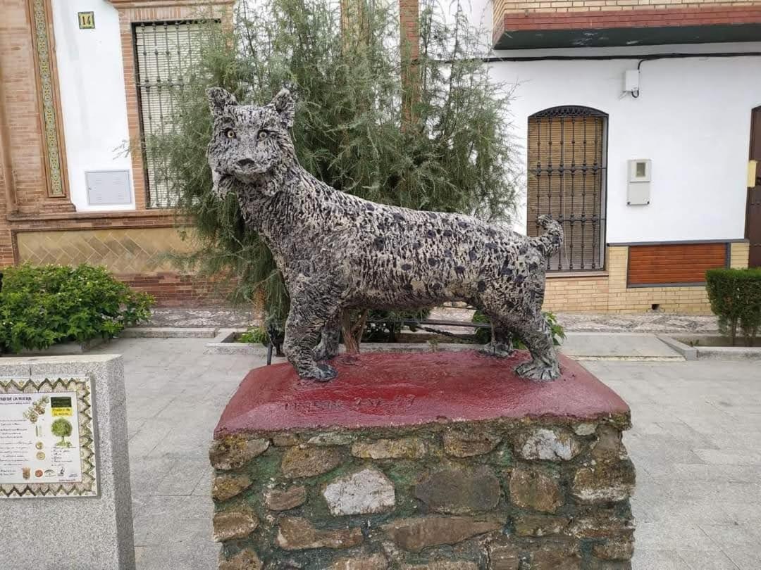 Alojamiento Rural An Ca La Abuela Pilar El Real de la Jara Exterior photo